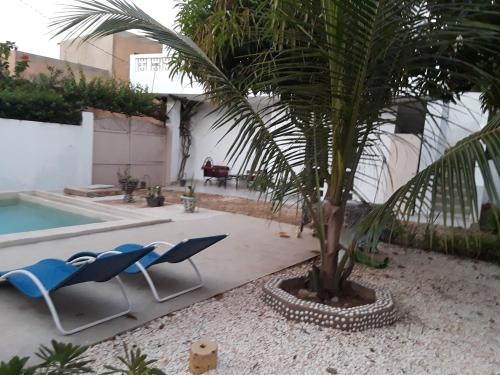 a palm tree and lounge chairs next to a pool at Zion in Ngaparou
