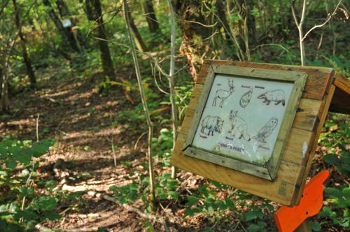 a sign in the woods with elephants on it at Village de Vacances d'Oignies in Oignies-en-Thierache