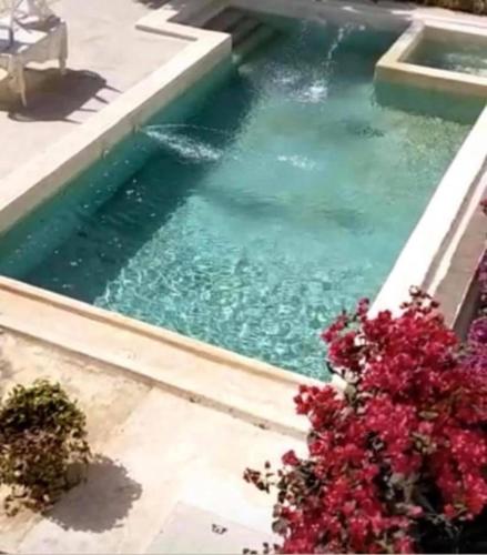 a pool of water in a garden with flowers at Zion in Ngaparou