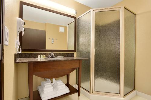 a bathroom with a sink and a shower at Microtel Inn & Suites by Wyndham Buda Austin South in Buda