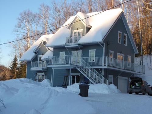 a blue house with a snow covered roof at DOMAINE DU LAC au CANADA in Saint-Sauveur-des-Monts
