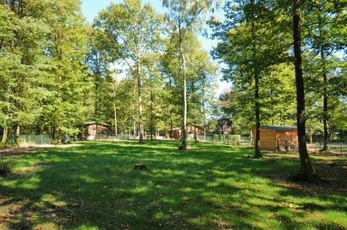 a grassy area with trees and a building in the distance at Village de Vacances d'Oignies in Oignies-en-Thierache