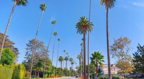 a row of palm trees on a street with a blue sky at Highland Gardens Hotel in Los Angeles