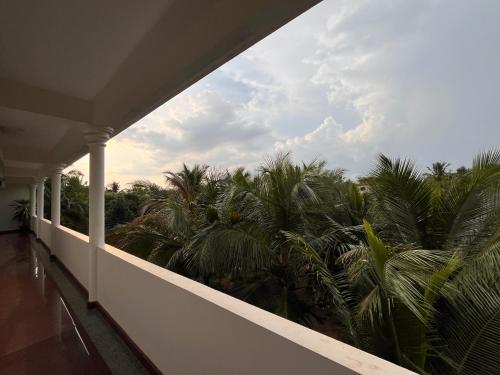 a view of palm trees from a balcony of a house at Morjim Sunset Guesthouse- Apartments with Kitchen & AC Rooms in Morjim