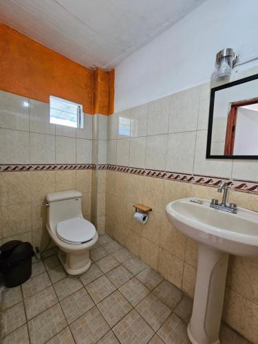 a bathroom with a toilet and a sink at Hotel Colonial Campestre in UniÃ³n JuÃ¡rez