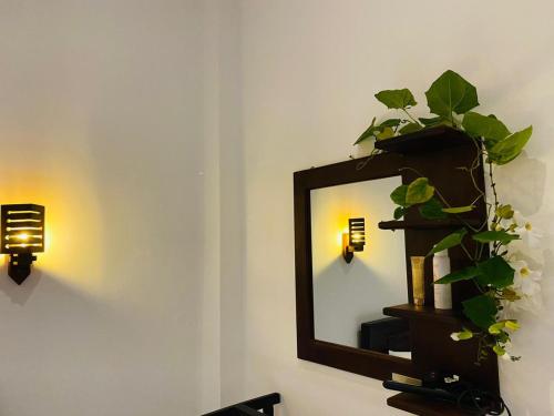 a mirror on a wall with a plant on it at Ceylon Avenue in Habaraduwa