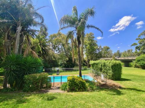 a swimming pool in a park with palm trees at Bridge Motel Wellington in Wellington