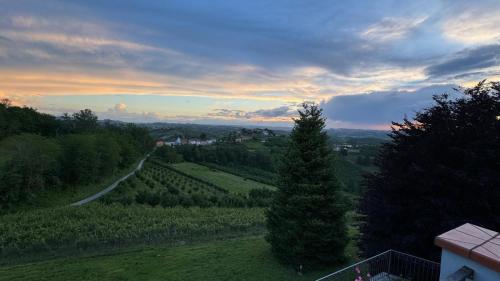 a tree on a hill with a road in a field at Splendid Villa Magna with Pool and Park - Langhe Hills in Govone