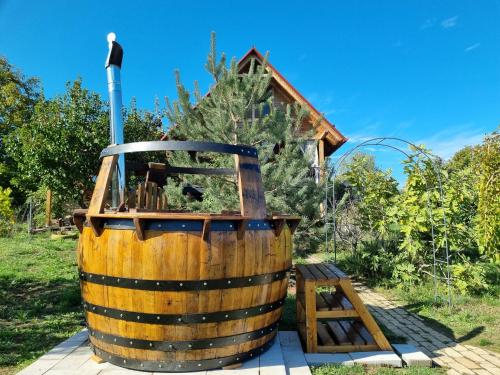 Fotografie z fotogalerie ubytování Vila Stancevic wellness v destinaci Sremski Karlovci