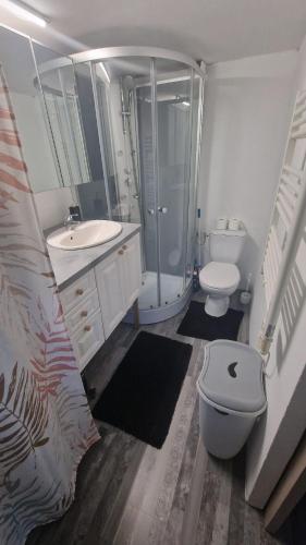 une salle de bain avec toilettes, lavabo et douche dans l'établissement Studio Marmotte, quartier marais, terrasse en rez de jardin, matelas confort, à Bourges