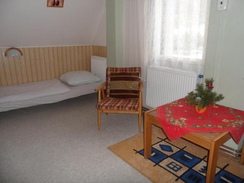 a room with a bed and a table and a chair at Pension Mikulka in Mikulov v Krušných Horách