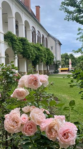 Κήπος έξω από το Schloss Welsdorf