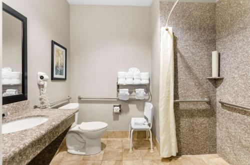a bathroom with a toilet and a sink at Comfort Suites at Katy Mills in Katy