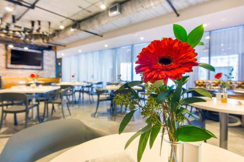 a vase with a red flower sitting on a table at Cambria Hotel New Orleans Downtown Warehouse District in New Orleans