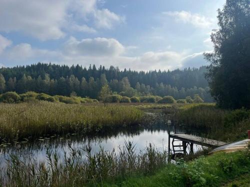 a picnic table in a field next to a lake at Freyja Summer Forest Retreat Cabin with Private Outdoor Tub and Lakeside Views in Örby
