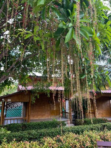 Fotografie z fotogalerie ubytování Chom Dao Resort v destinaci Ko Lanta