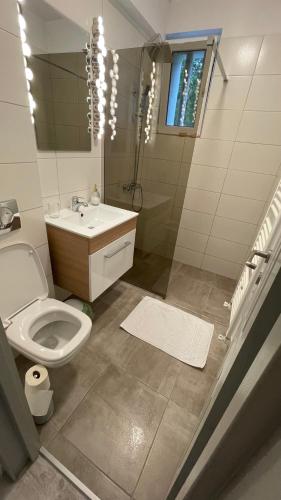 ペトロシャニにあるWOW Residence Petrosaniのトイレ、洗面台、鏡のあるバスルーム