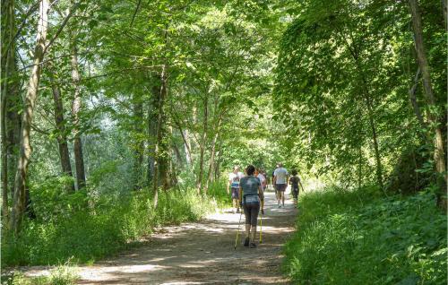 a group of people riding bikes down a forest trail at Casa Giglio Rosso in Sovramonte