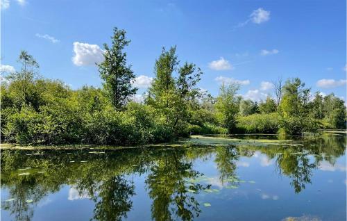 a reflection of trees in the water of a lake at Joli Chalet Dans La Somme in Hem-Monacu