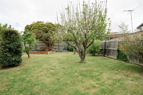 a yard with a tree and a fence at Bellarine Retreat - Pet friendly in Portarlington