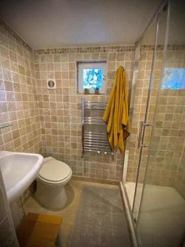 une salle de bain avec une douche, des toilettes et un lavabo dans l'établissement le domaine des cyprès location gite piscine à Bédoin, Mont-Ventoux, à Bédoin