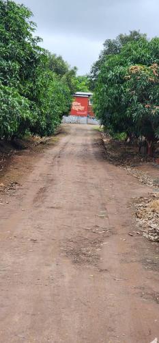 a dirt road with trees on either side at Hotel Ekant tourist resort in Junnar