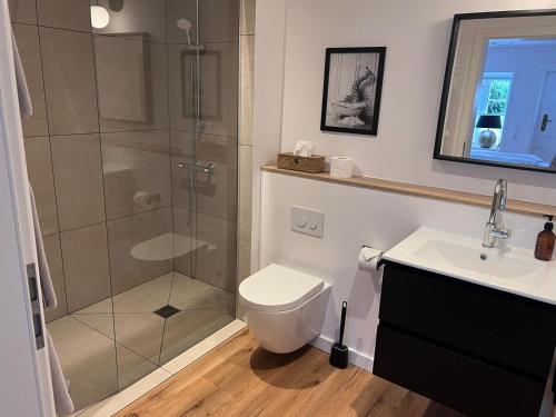 a bathroom with a shower and a toilet and a sink at GUNDT Amrum in Nebel