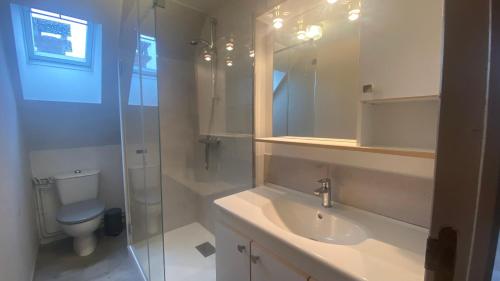 une salle de bain avec un lavabo, des toilettes et une douche dans l'établissement Chez Louise, à Vitrac