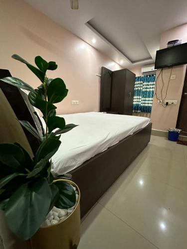a bedroom with a bed and a potted plant at Jagannath Residency And Prasadam in Kolkata