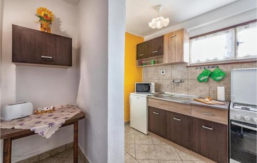 a kitchen with wooden cabinets and a counter top at One-Bedroom Apartment In Divsici in Divšići