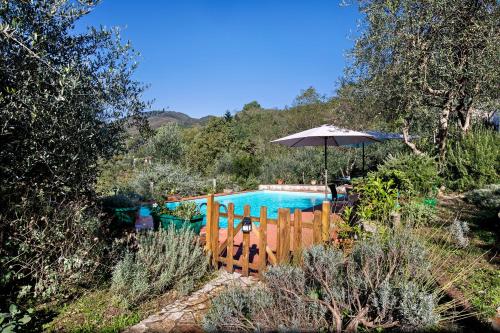 a swimming pool with an umbrella next to a fence at Casa Lavanda Country House in Camaiore