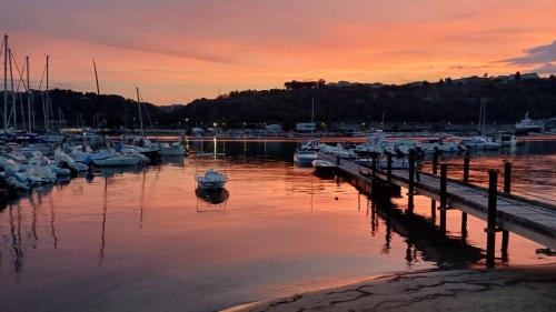 a group of boats docked in a marina at sunset at Regina in Ortona
