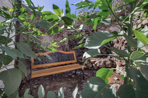 a wooden bench sitting in the middle of trees at Un jardin al mar in Genovés