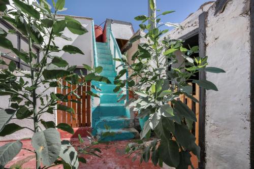 a stairway leading up to a house with blue stairs at Un jardin al mar in Genovés