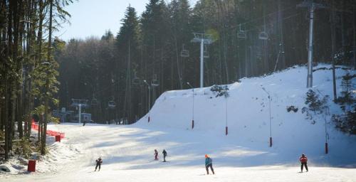 a group of people skiing down a snow covered slope at Apartament Slanic Moldova in Slănic-Moldova