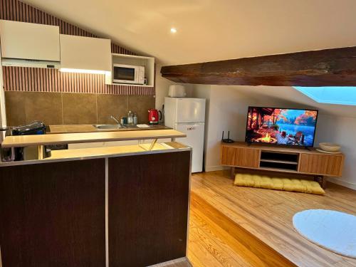Il comprend une cuisine équipée d'un réfrigérateur et une télévision. dans l'établissement Signature - Centre -Spacieux- Fibre, à Dax