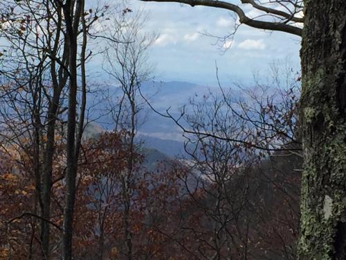 a view of the mountains through the trees at Creekwalk Inn Bed and Breakfast with Cabins in Cosby