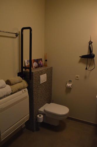 a bathroom with a toilet and a sink in a room at B&B Hof Ter Haegen in Vollezele