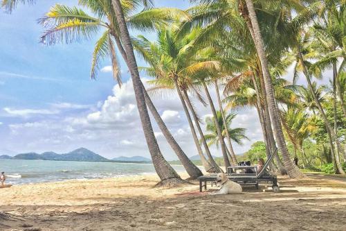 a dog laying on a beach with palm trees at Tropical 2 BR, 2 Bath Villa with private pool in Palm Cove