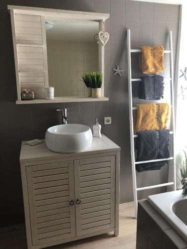 a bathroom with a sink and a mirror at Sous les toits du Zinc - Climatisé in Colmar
