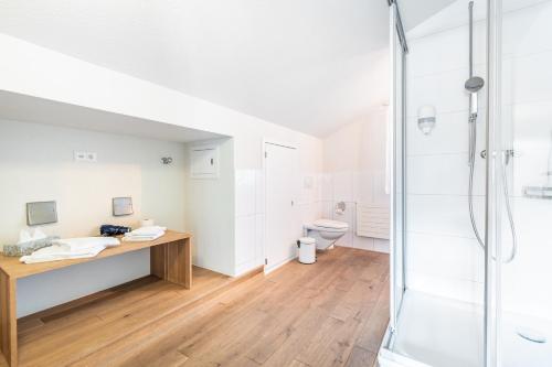 een badkamer met een bureau en een douche bij Hotel Kaiserstuhl in Lungern