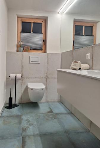 a bathroom with a toilet and a sink and a mirror at Apartment Stadtmauerloft Gmünd in Gmünd in Kärnten