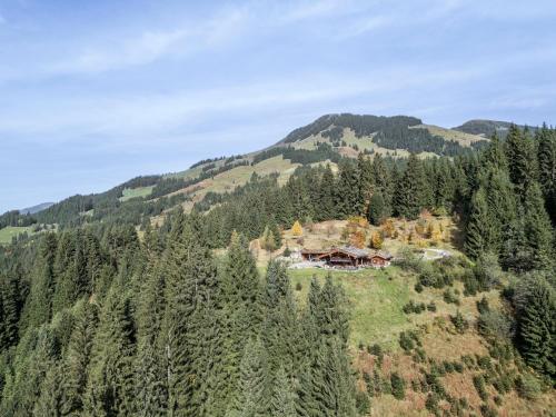an aerial view of a house on a mountain at Buccara Zwischenbachalm in Westendorf