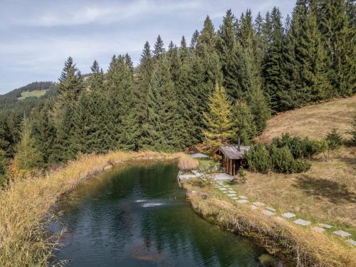 a river with a cabin on the side of a hill at Buccara Zwischenbachalm in Westendorf