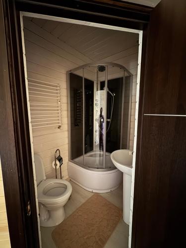a bathroom with a shower and a toilet and a sink at Опришок in Palyanytsya