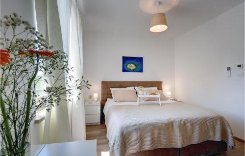 Villa Moraceae