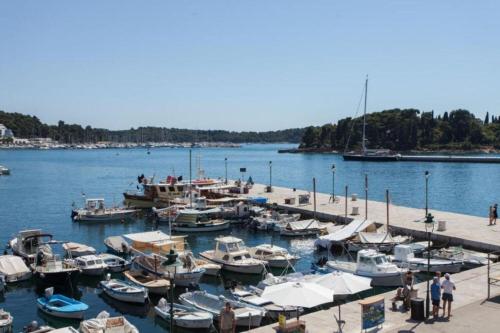 a group of boats docked at a dock in the water at Apartments Regent 2 in Rovinj