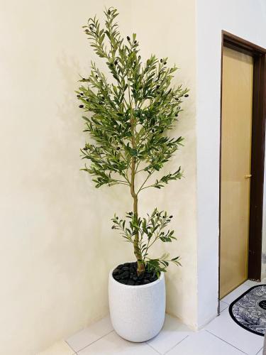 a tree in a white pot sitting on a floor at Ila Homestay in Senawang