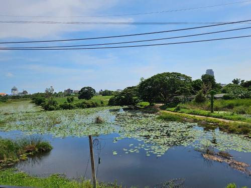 a pond filled with lily pads in a field at CottagePine Rayong Resort&Cafe in Ban Ko Kloi