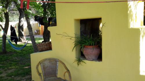 a yellow building with a plant in a window at casa di campagna dal pozzo in Sorso